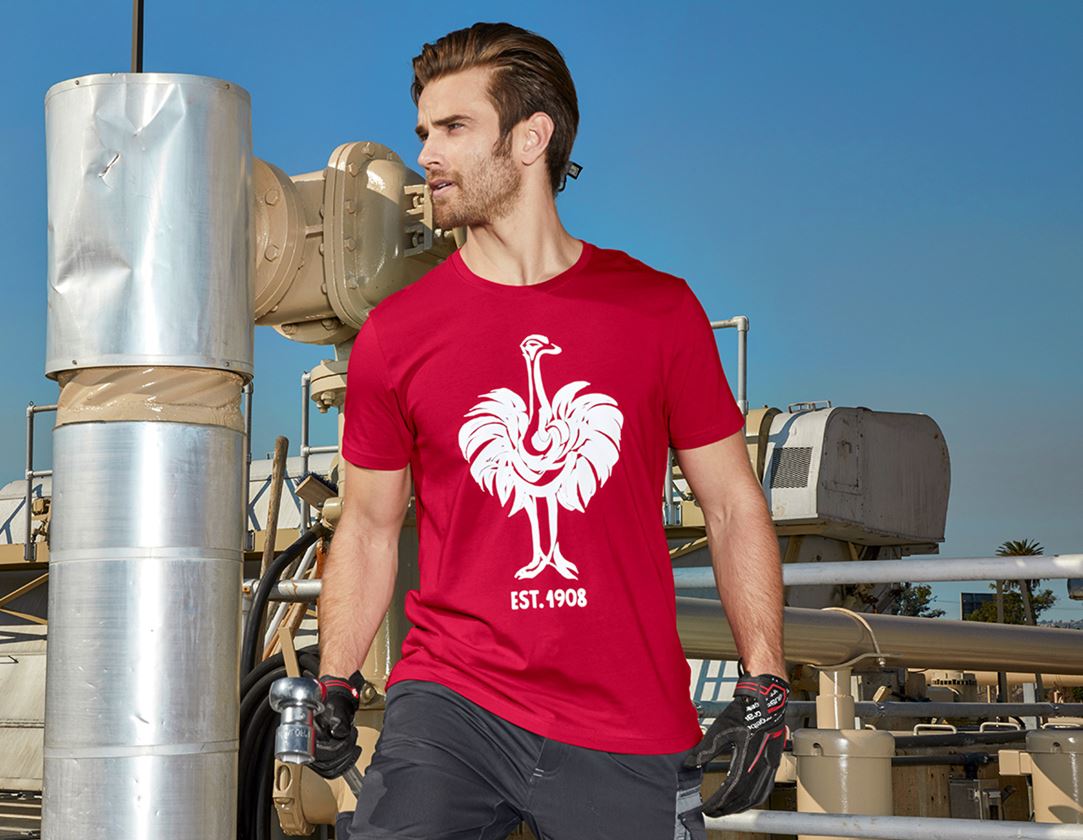 Gardening / Forestry / Farming: e.s. T-shirt 1908 + fiery red/white