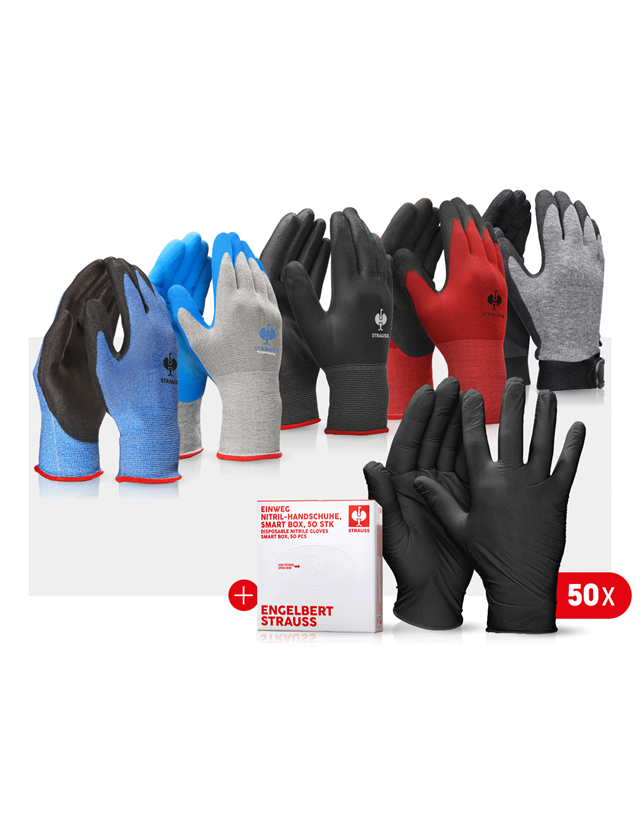 Personal Protection: Professional glove set automobile III