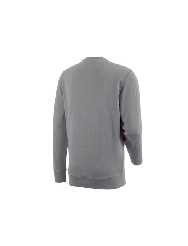 Topics: e.s. Sweatshirt poly cotton + platinum 3