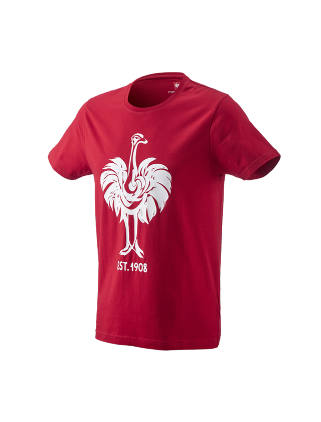 Topics: e.s. T-shirt 1908 + fiery red/white 2