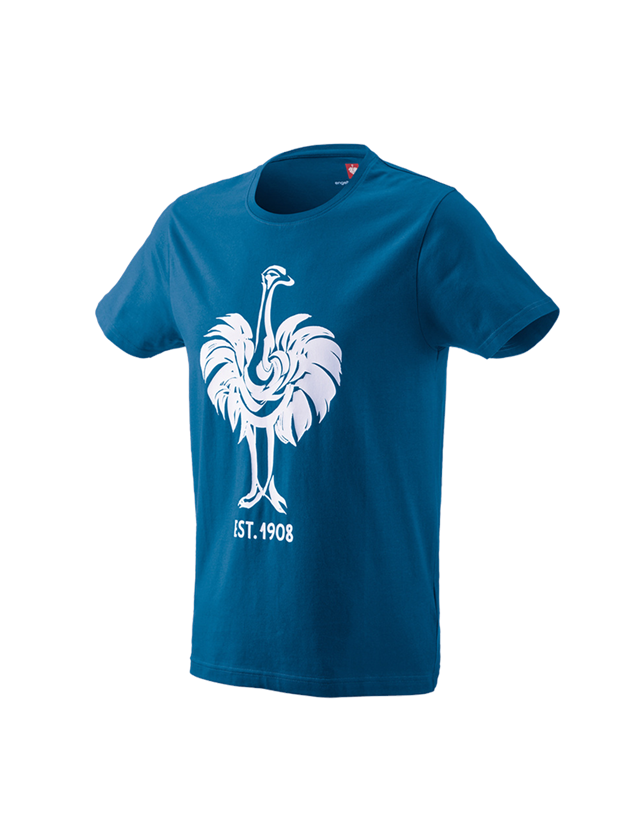 Överdelar: e.s. T-shirt 1908 + atoll/vit