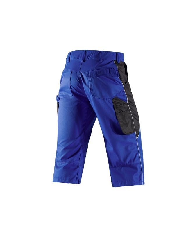 Gardening / Forestry / Farming: e.s.active 3/4 length trousers + royal/black 2